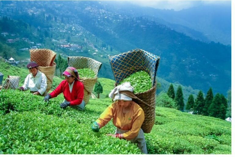 Darjeeling