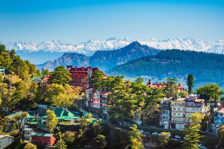 shimla (1)